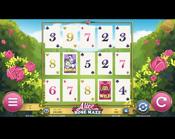 Alice of the Rose Maze