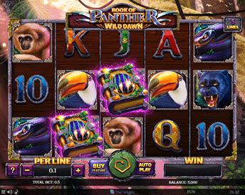 Book Of Panther Wild Dawn