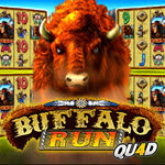 Buffalo Run Quad