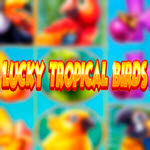 Lucky Tropical Birds