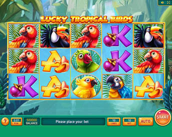 Lucky Tropical Birds