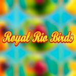 Royal Rio Birds