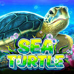 Sea Turtle