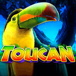 Toucan