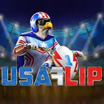USA Flip