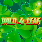 Wild 4 Leaf
