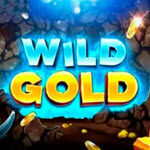 Wild Gold (Slot Factory)