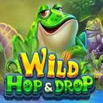 Wild Hop and Drop