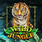 Wild Jungle