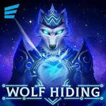 Wolf Hiding
