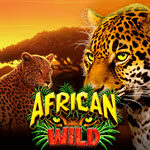 African Wild
