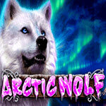 Arctic Wolf