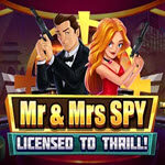 Mr and Mrs Spy