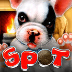 Spot