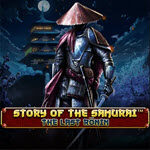 Story Of The Samurai The Last Ronin