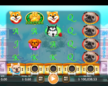 Who Let the Dogs Out