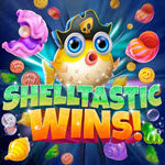 Shelltastic Wins