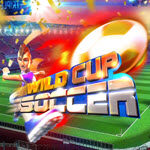 Wild Cup Soccer