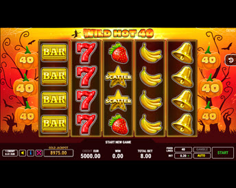 Wild Hot 40 Halloween