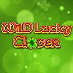 Wild Lucky Clover