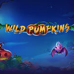 Wild Pumpkins