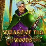 Wizard of the Woods