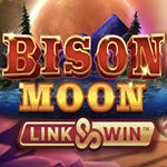 Bison Moon