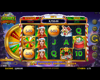 Fiona’s Christmas Fortune