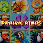 Prairie Kings
