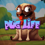 Pug Life