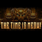 The Time is Meow