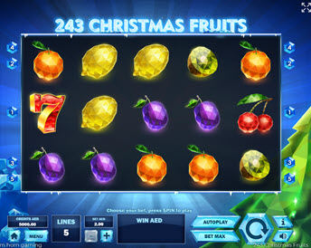243 Christmas Fruits