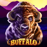 Buffalo (Royal Slot Gaming)