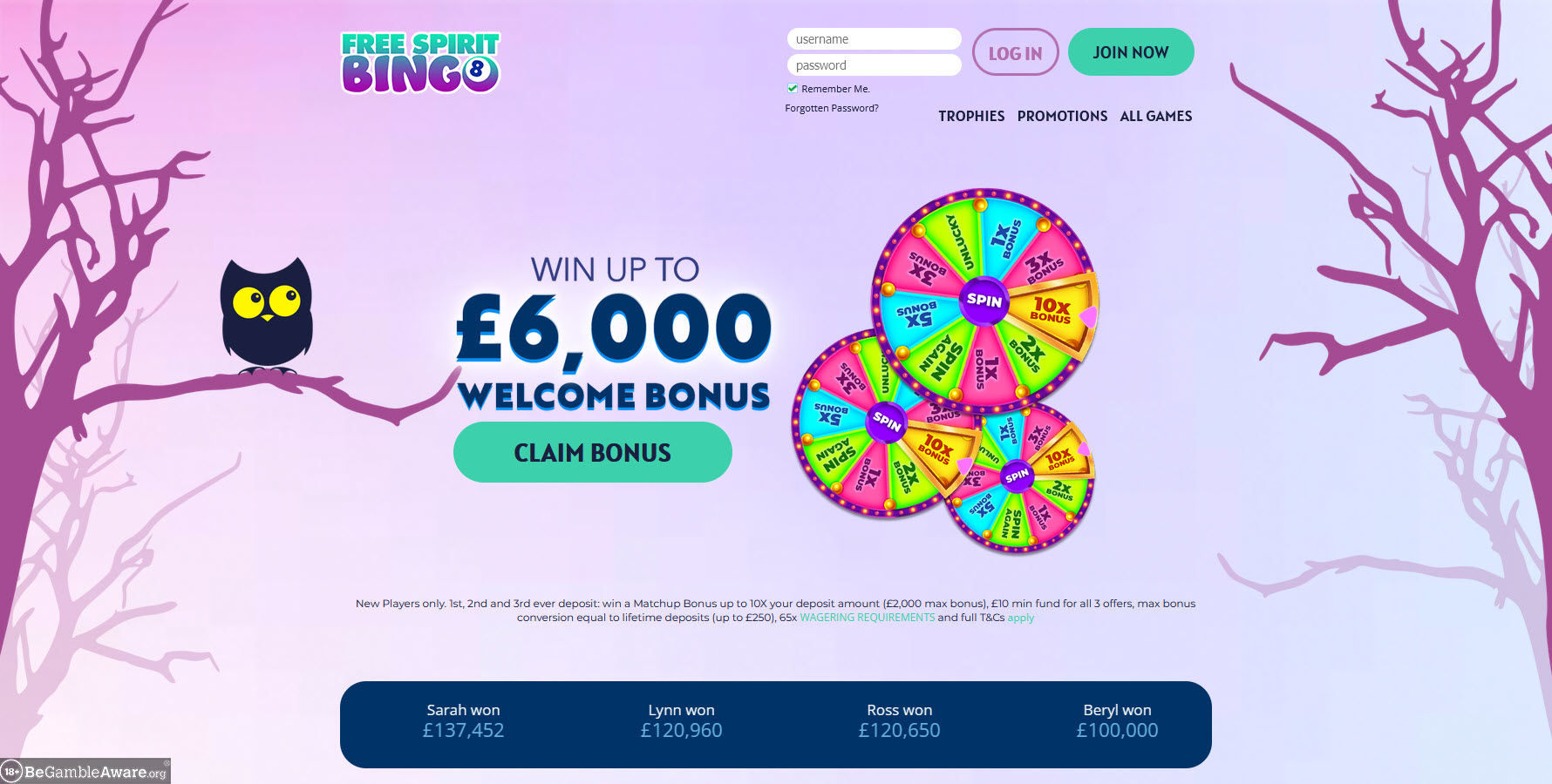 Free Spirit Bingo Casino