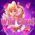 Wild Cupid