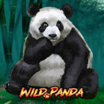 Wild Panda (Royal Slot Gaming)