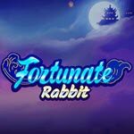Fortunate Rabbit