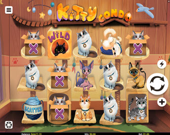 Kitty Condo