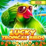 Lucky Tropical Birds (3x3)