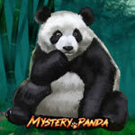 Mystery Panda