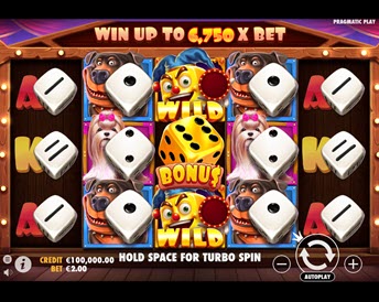 The Dog House Dice Show