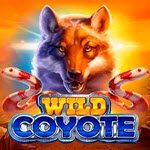 Wild Coyote