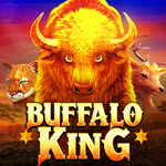 Buffalo King (Nextspin)