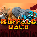 Buffalo Race