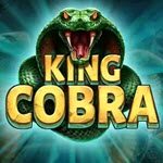 King Cobra