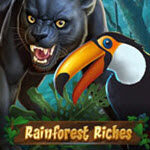 Rainforest Riches