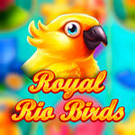 Royal Rio Birds (3x3)