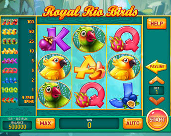 Royal Rio Birds (3x3)