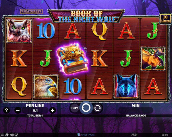 Book of the Night Wolf