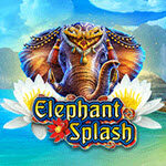 Elephant Splash